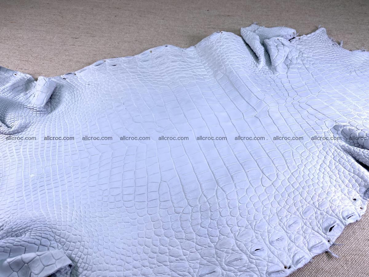 Crocodile skin crust belly part 36cm 1486 Foto 1
