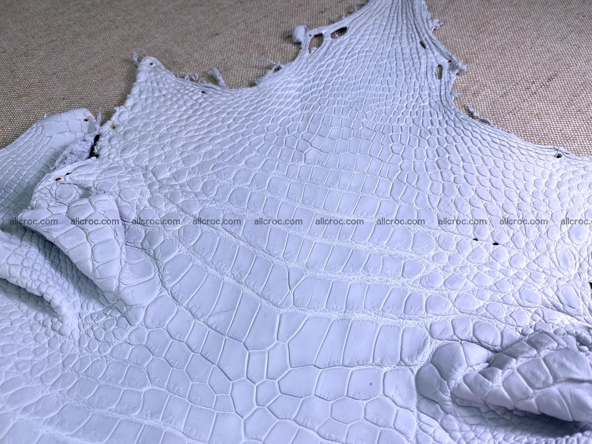 Crocodile skin crust belly part 36cm 1486 Foto 3