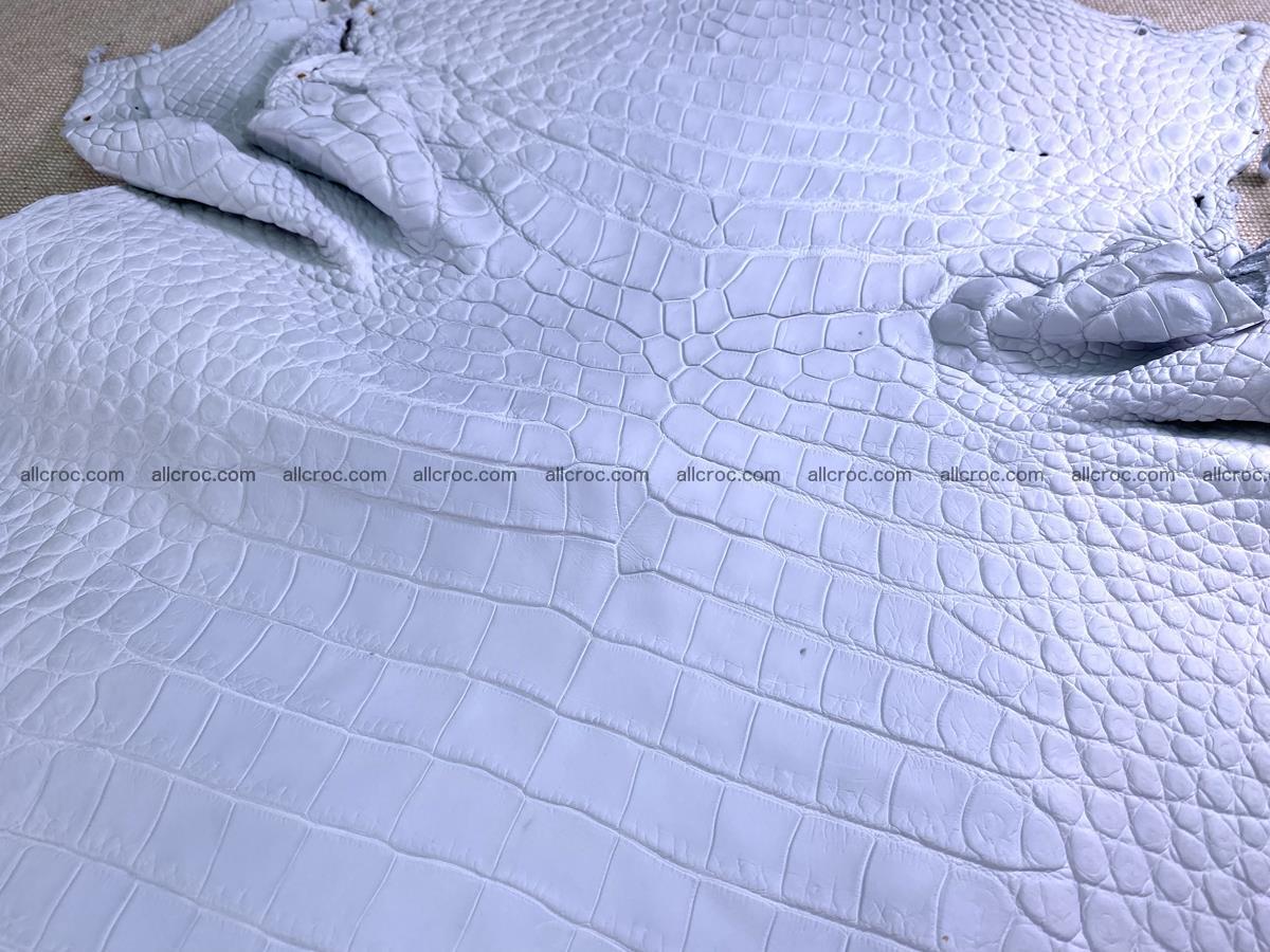 Crocodile skin crust belly part 36cm 1486 Foto 2