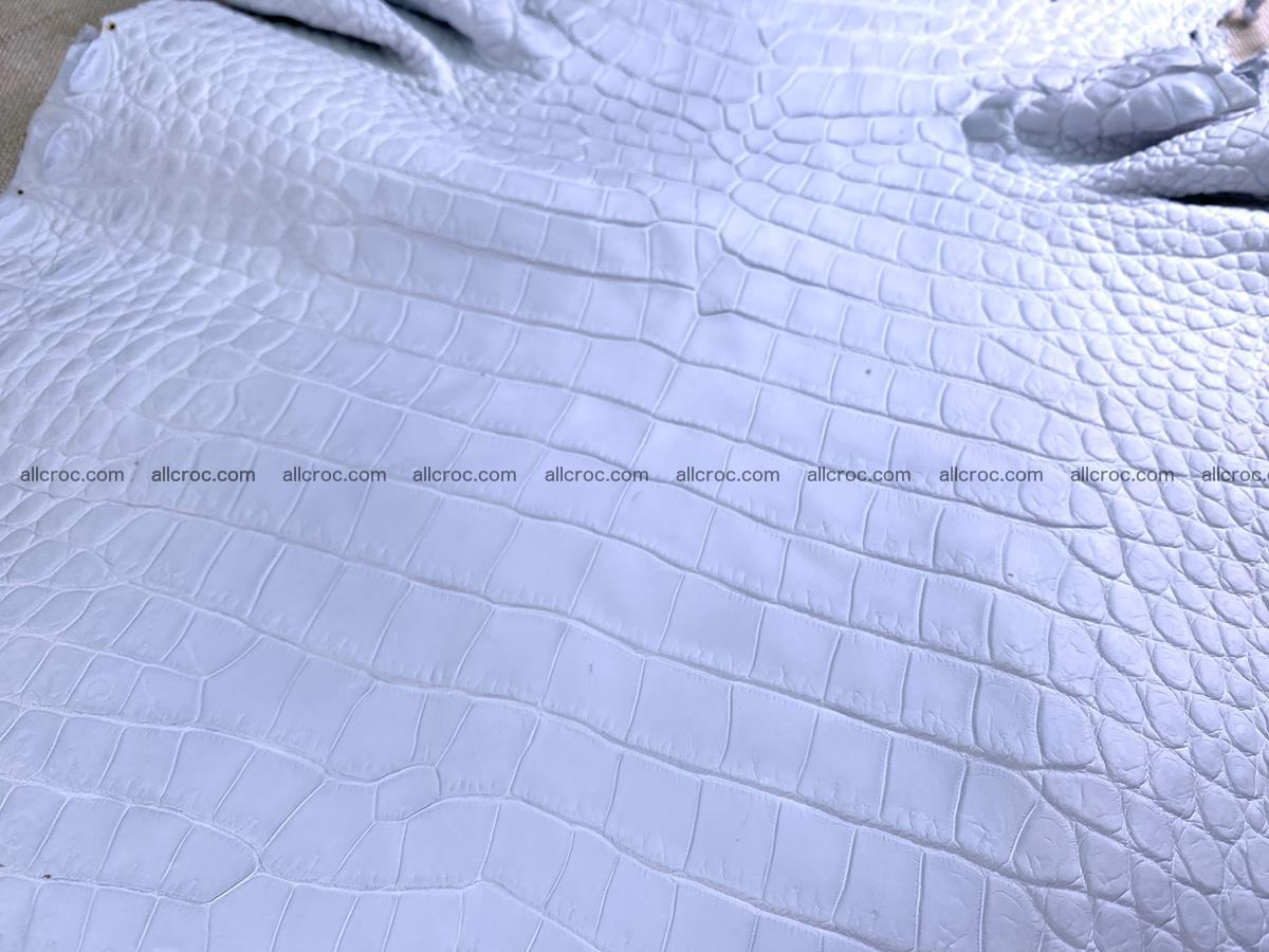 Crocodile skin crust belly part 36cm 1486 Foto 8