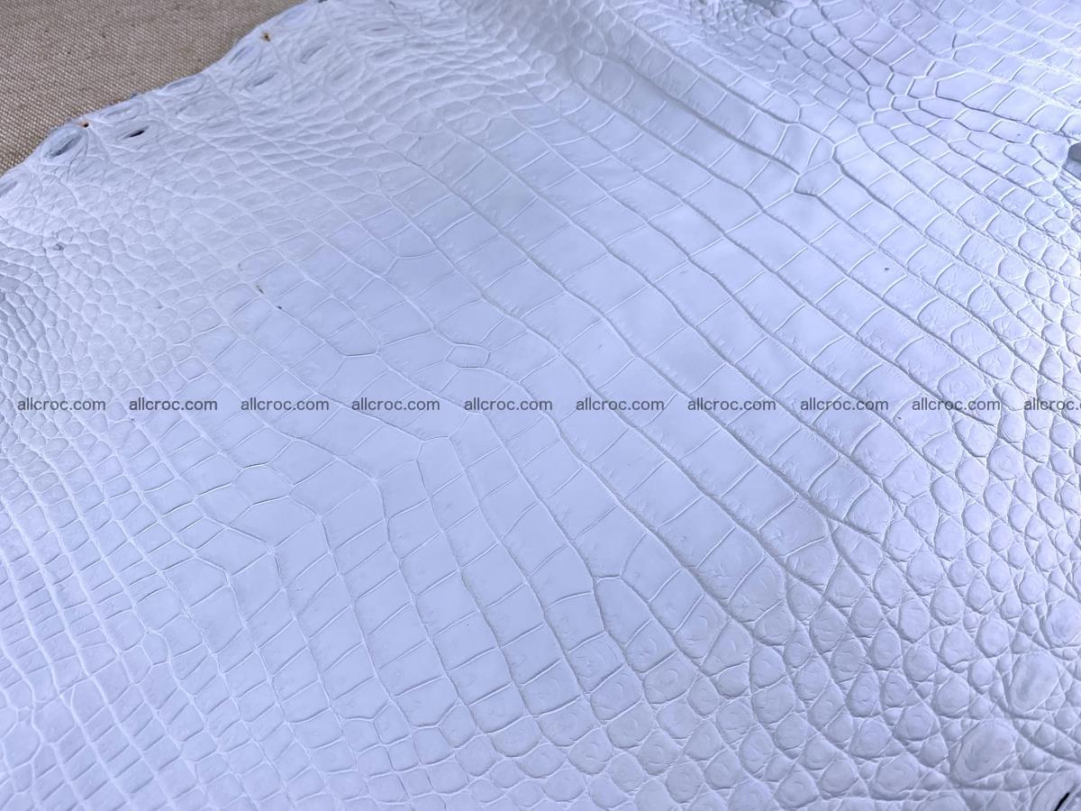 Crocodile skin crust belly part 36cm 1486 Foto 9