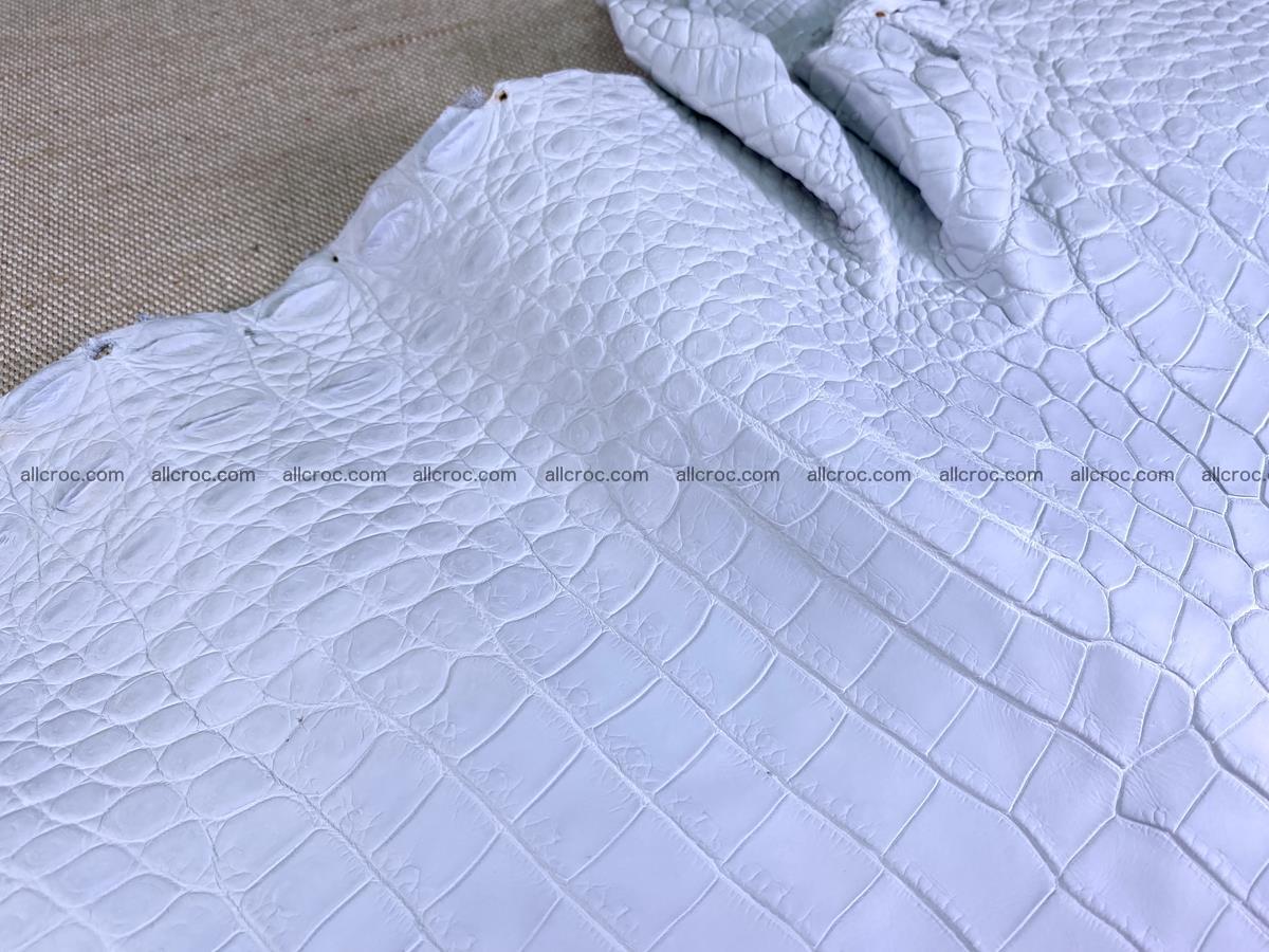 Crocodile skin crust belly part 36cm 1486 Foto 5