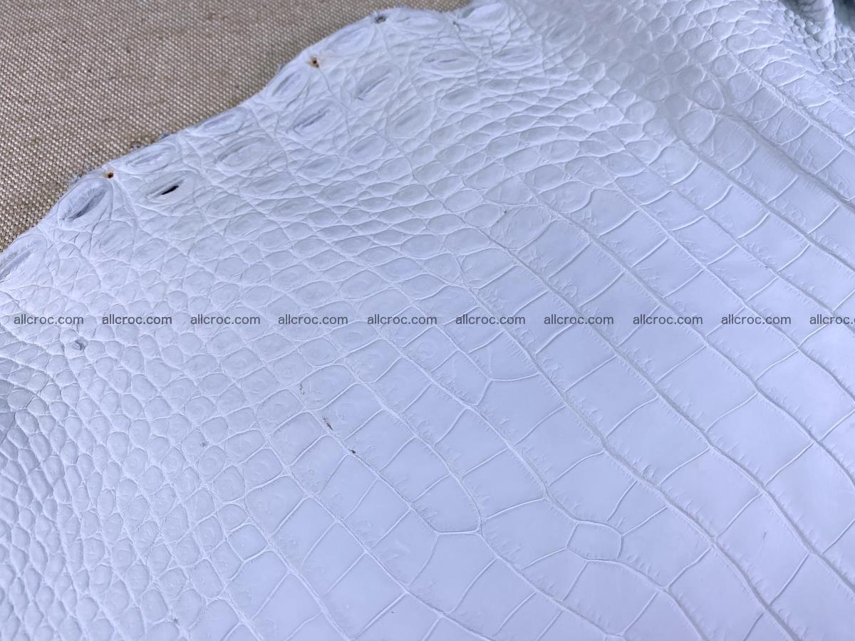 Crocodile skin crust belly part 36cm 1486 Foto 4