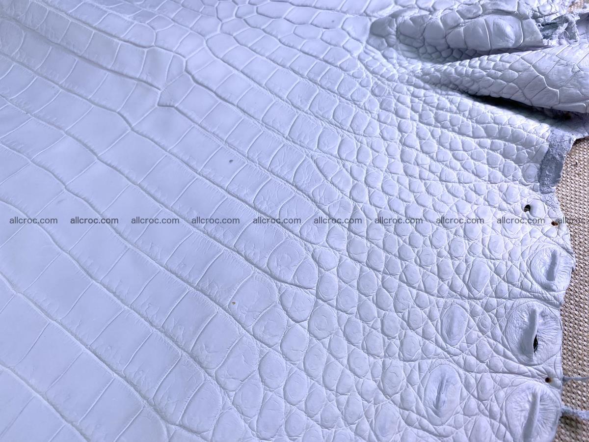Crocodile skin crust belly part 36cm 1486 Foto 6