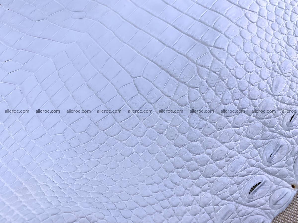 Crocodile skin crust belly part 36cm 1486 Foto 7
