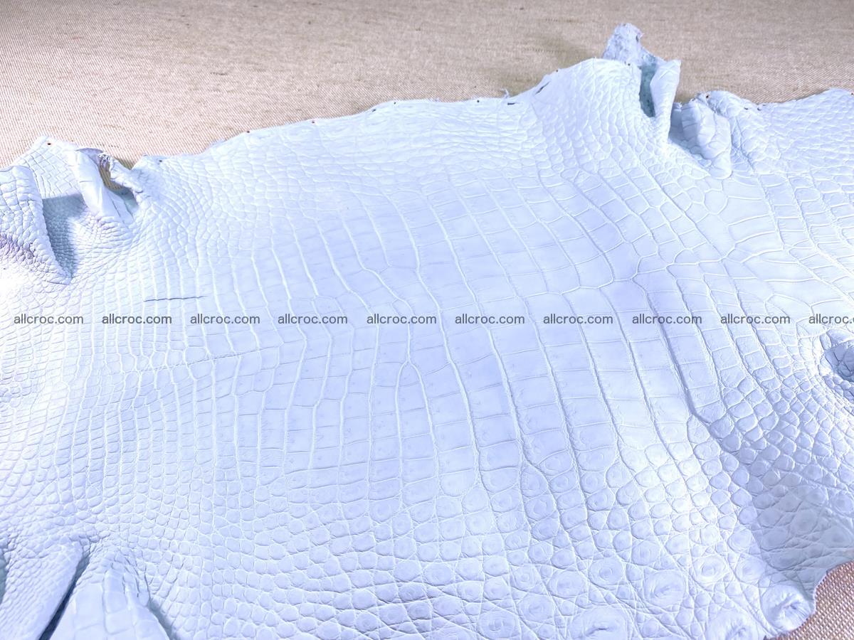 Crocodile skin crust belly part 38cm 1487 Foto 1