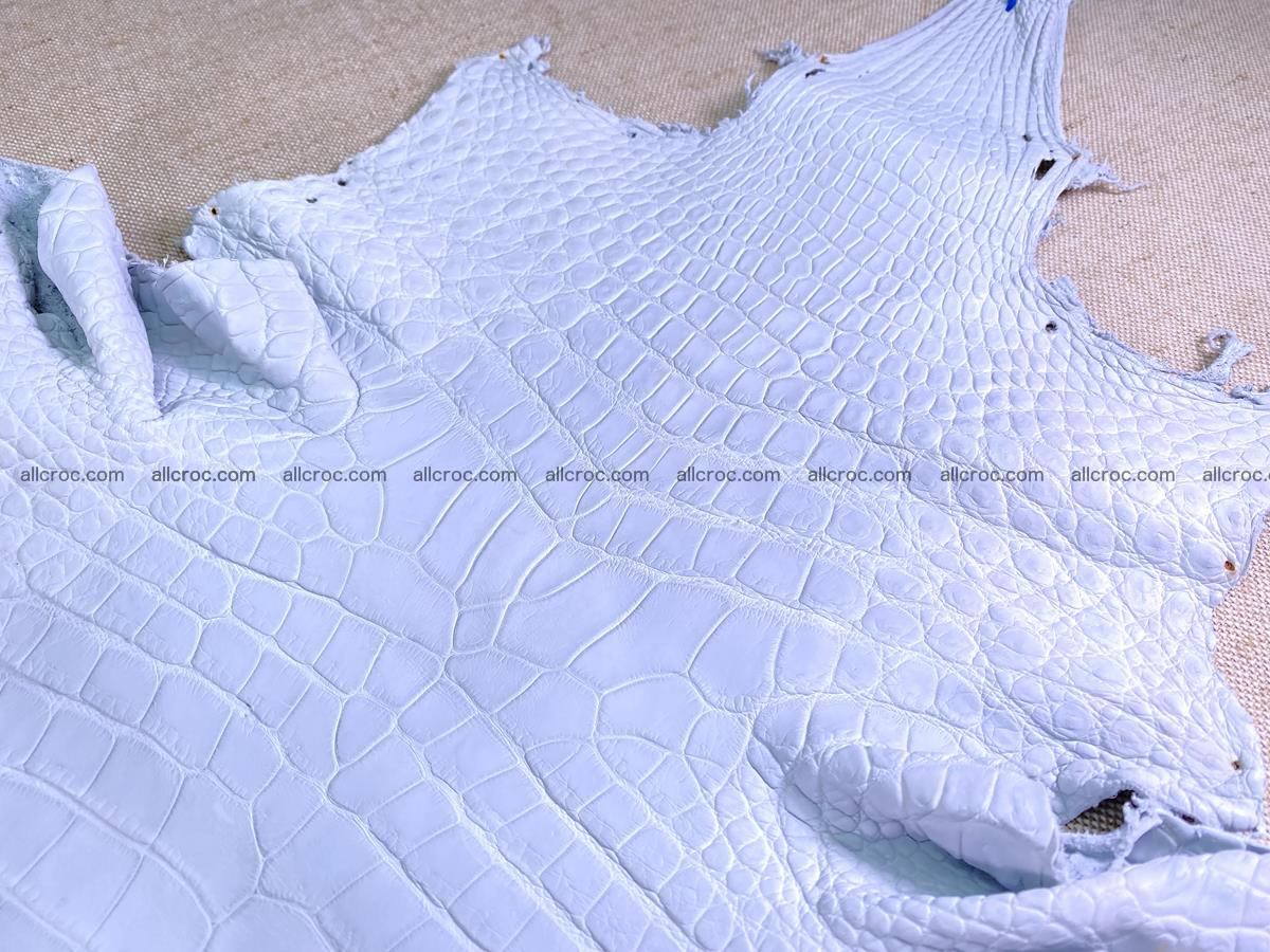 Crocodile skin crust belly part 38cm 1487 Foto 2