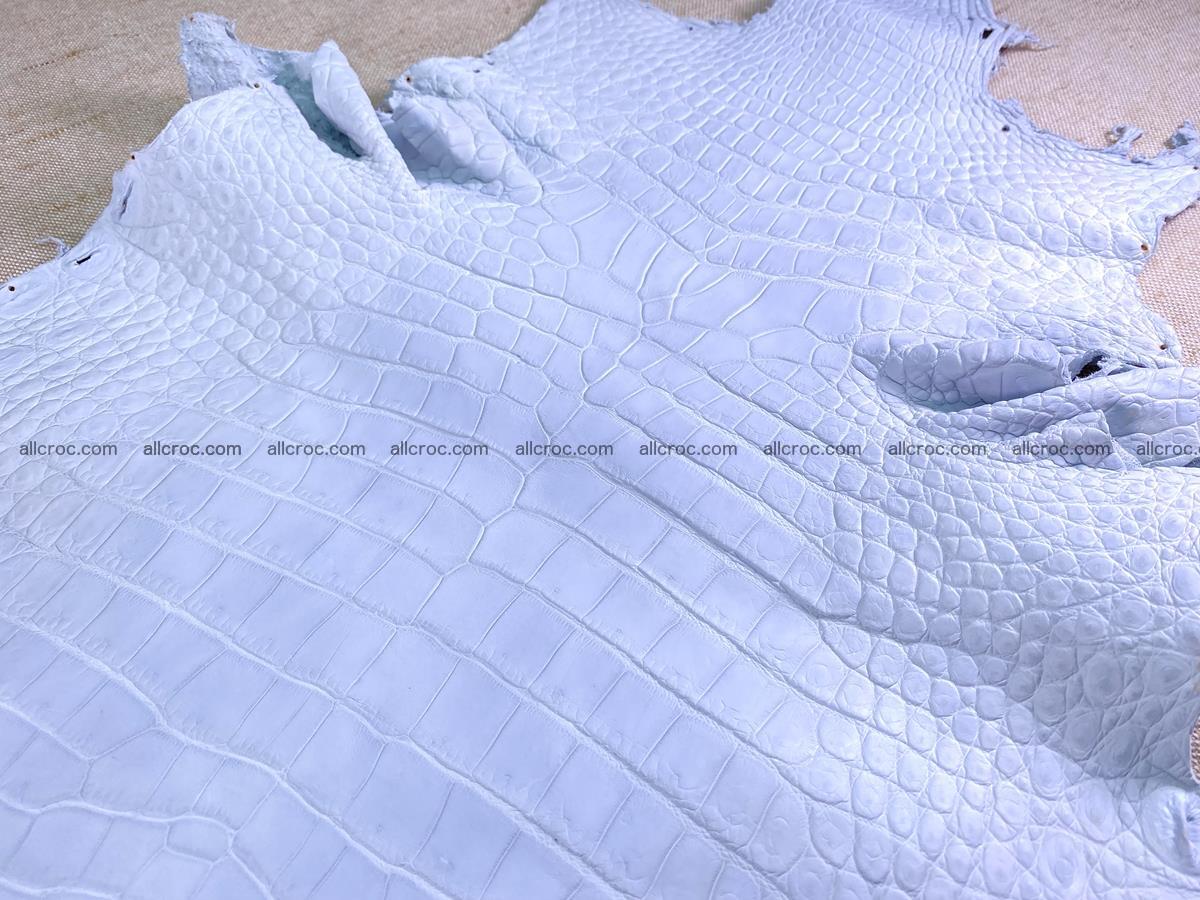 Crocodile skin crust belly part 38cm 1487 Foto 3