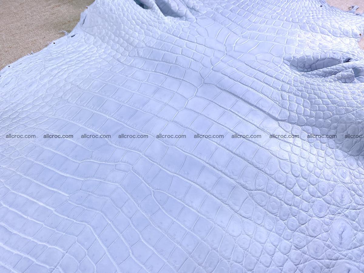 Crocodile skin crust belly part 38cm 1487 Foto 6