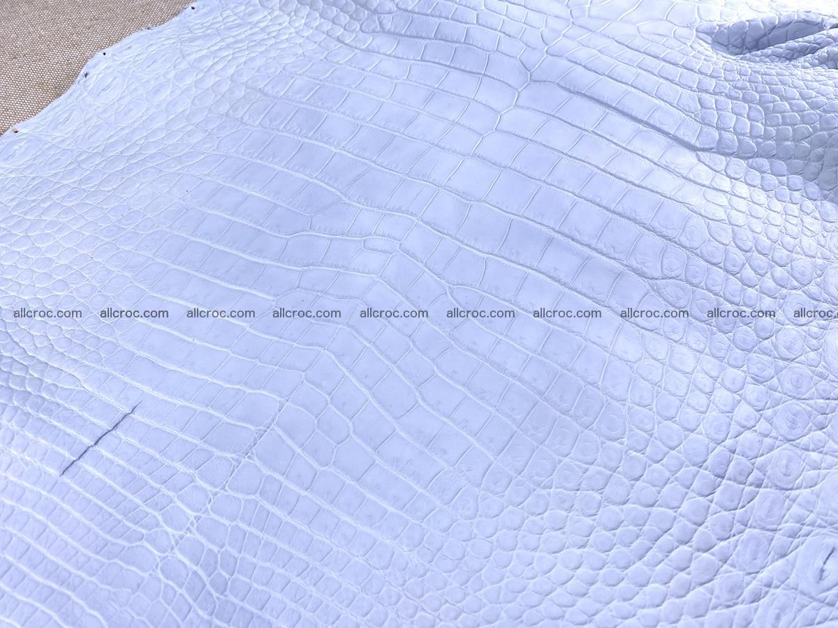 Crocodile skin crust belly part 38cm 1487 Foto 7