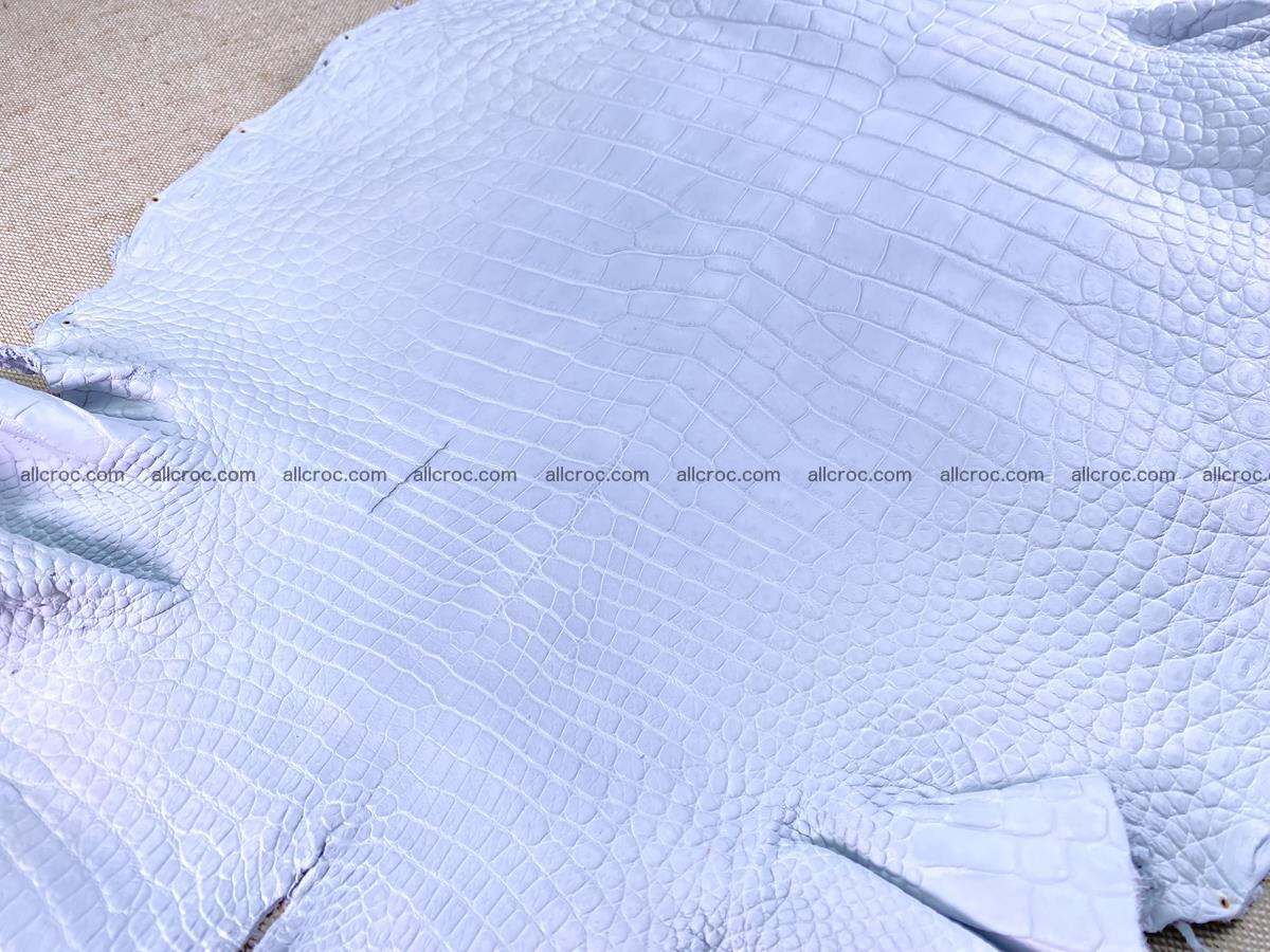 Crocodile skin crust belly part 38cm 1487 Foto 13