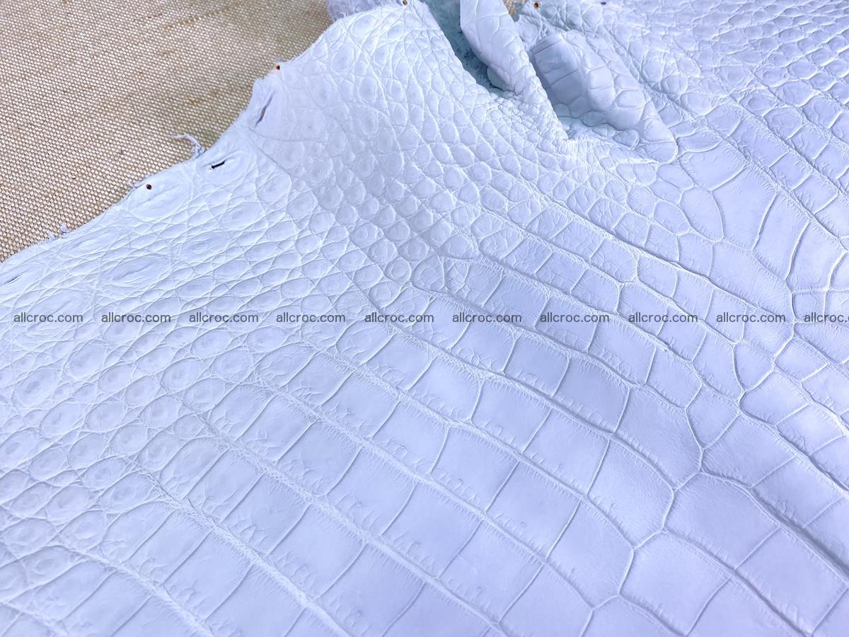 Crocodile skin crust belly part 38cm 1487 Foto 10
