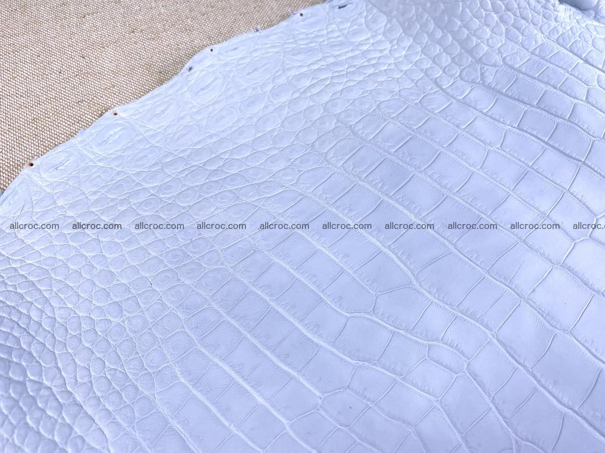 Crocodile skin crust belly part 38cm 1487 Foto 11