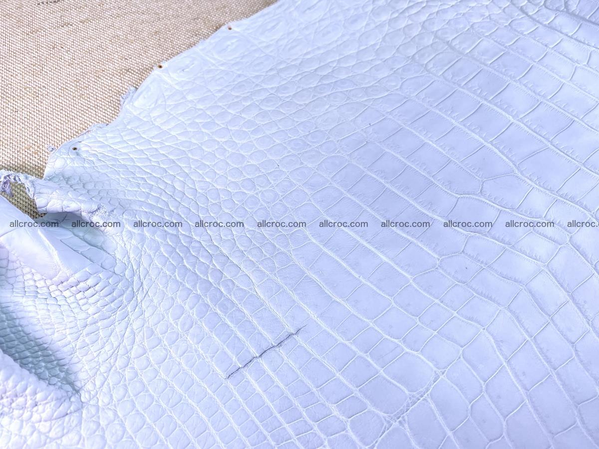 Crocodile skin crust belly part 38cm 1487 Foto 5