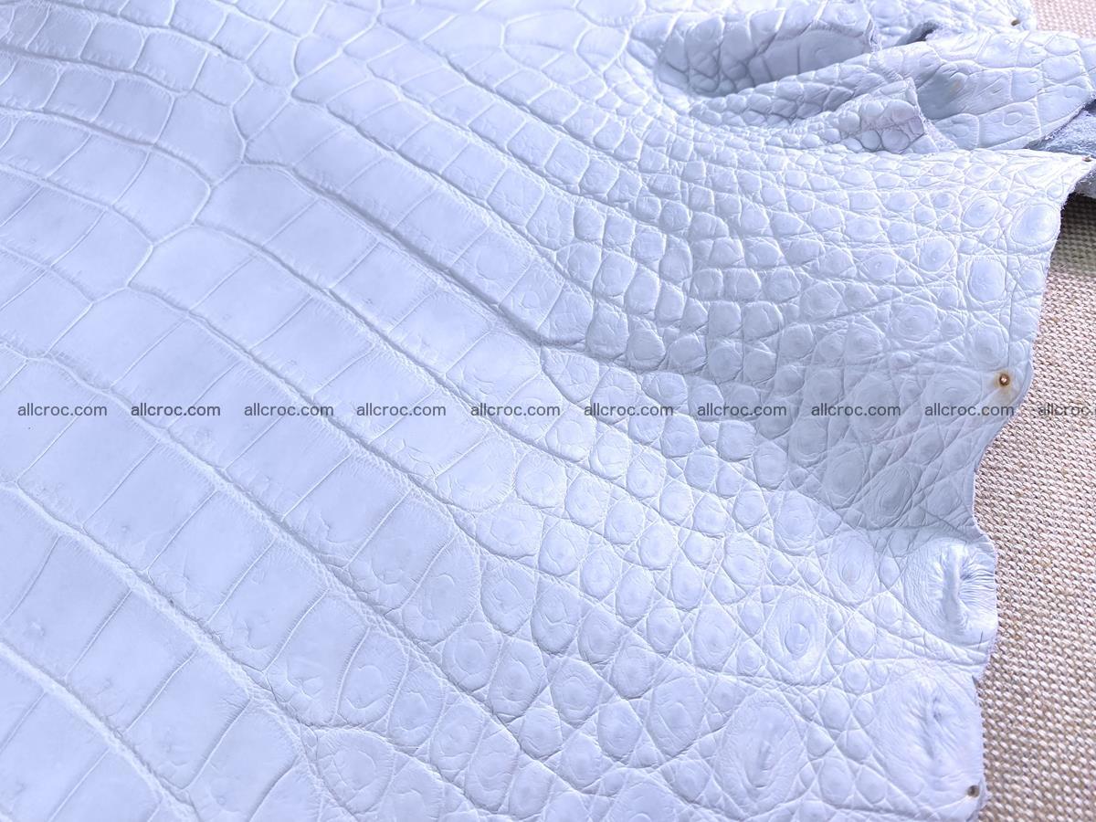 Crocodile skin crust belly part 38cm 1487 Foto 8