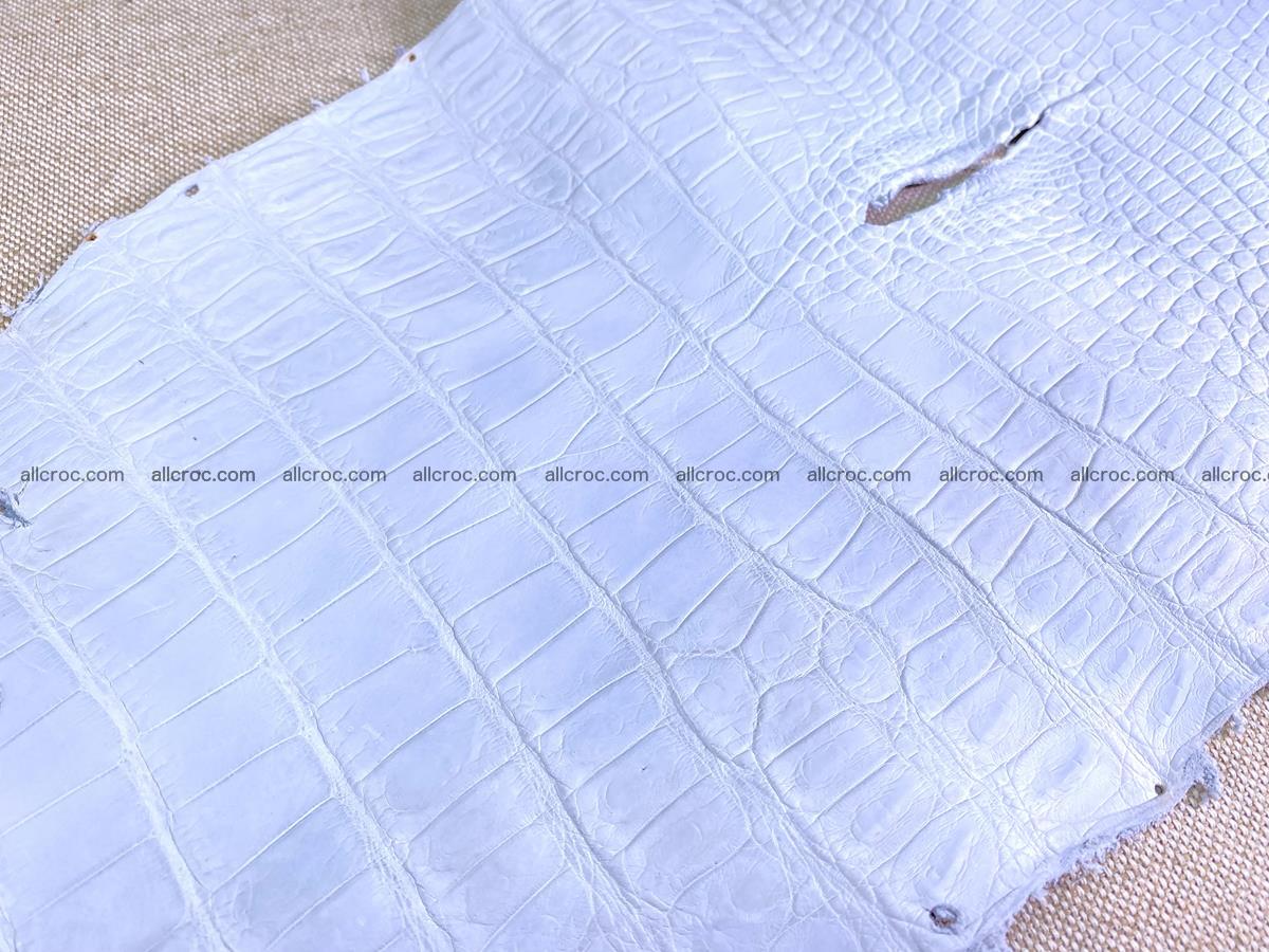 Crocodile skin crust belly part 38cm 1487 Foto 4