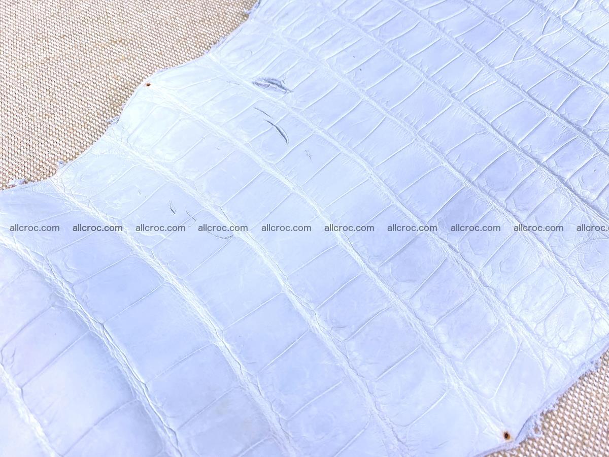 Crocodile skin crust belly part 38cm 1487 Foto 15