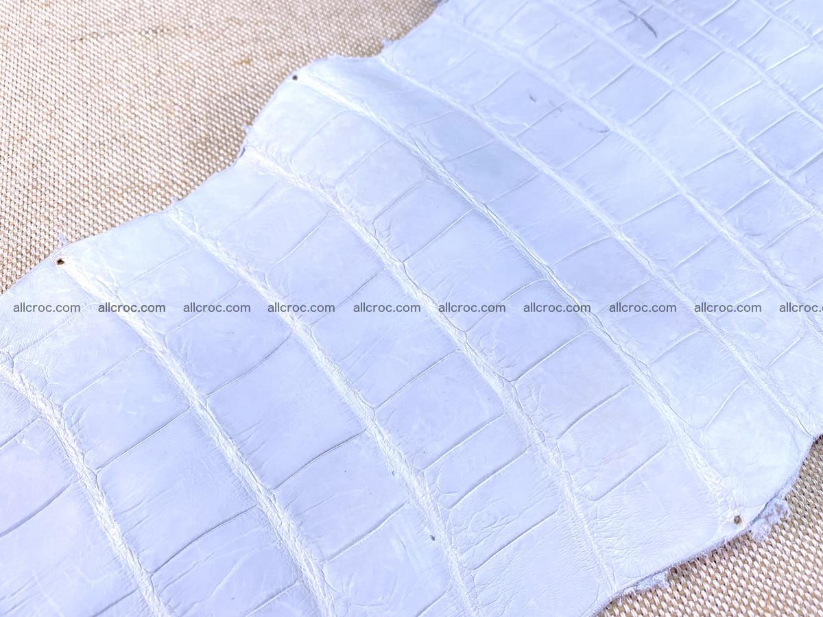 Crocodile skin crust belly part 38cm 1487 Foto 14