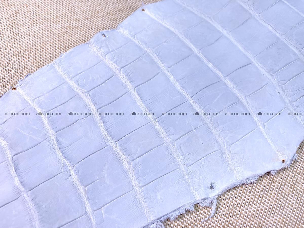 Crocodile skin crust belly part 38cm 1487 Foto 16