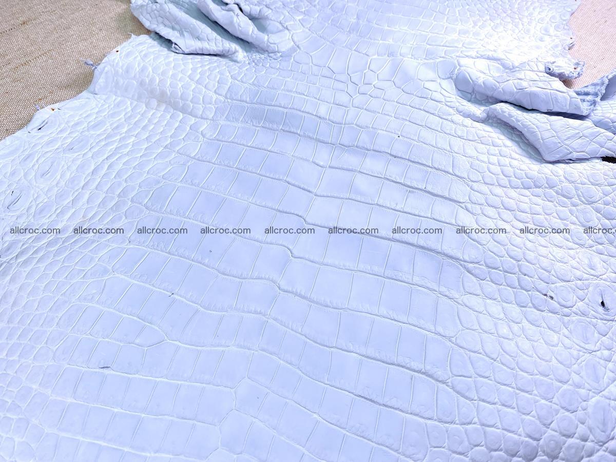 Crocodile skin crust belly part 40cm 1490 Foto 7