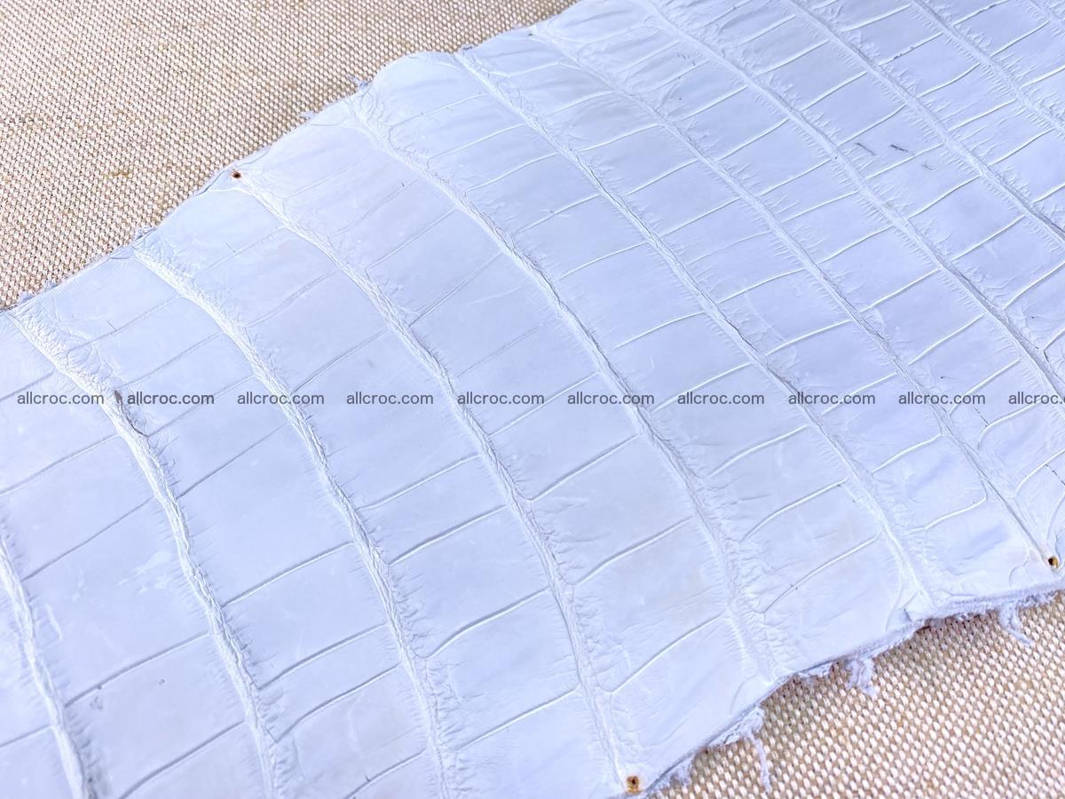 Crocodile skin crust belly part 40cm 1490 Foto 15