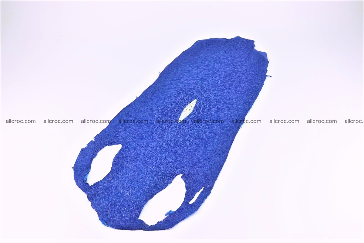 Stingray skin long shape 7 inches 1282 Foto 0