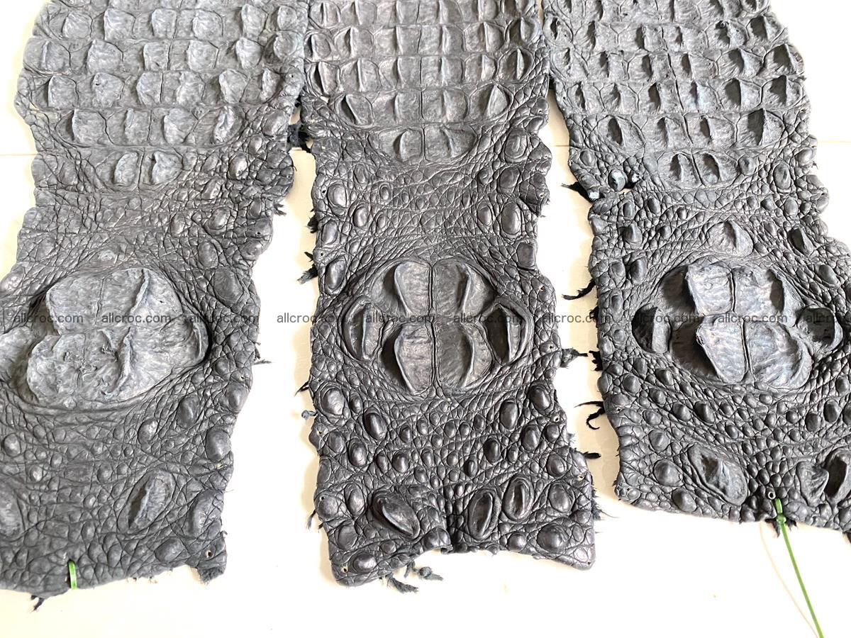 Genuine crocodile backstrap size-L 841 Foto 3
