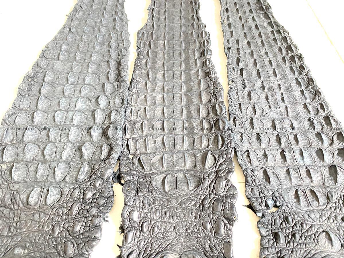 Genuine crocodile backstrap size-L 841 Foto 9