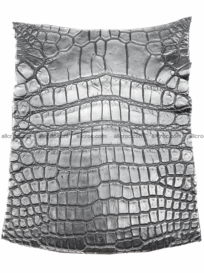 Crocodile skin belly 20cm x 24cm 562 Foto 0