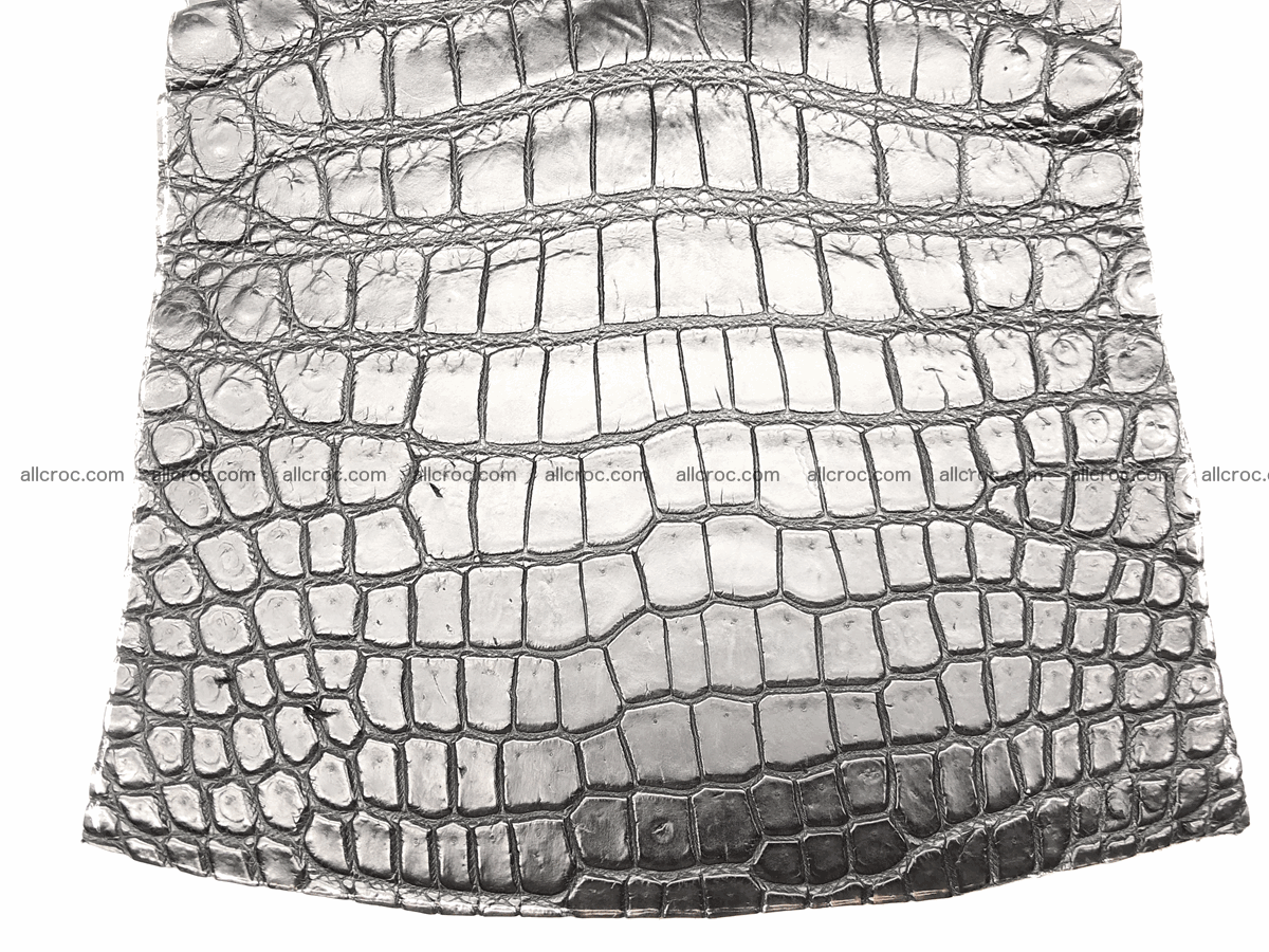 Crocodile skin belly 20cm x 24cm 562 Foto 3
