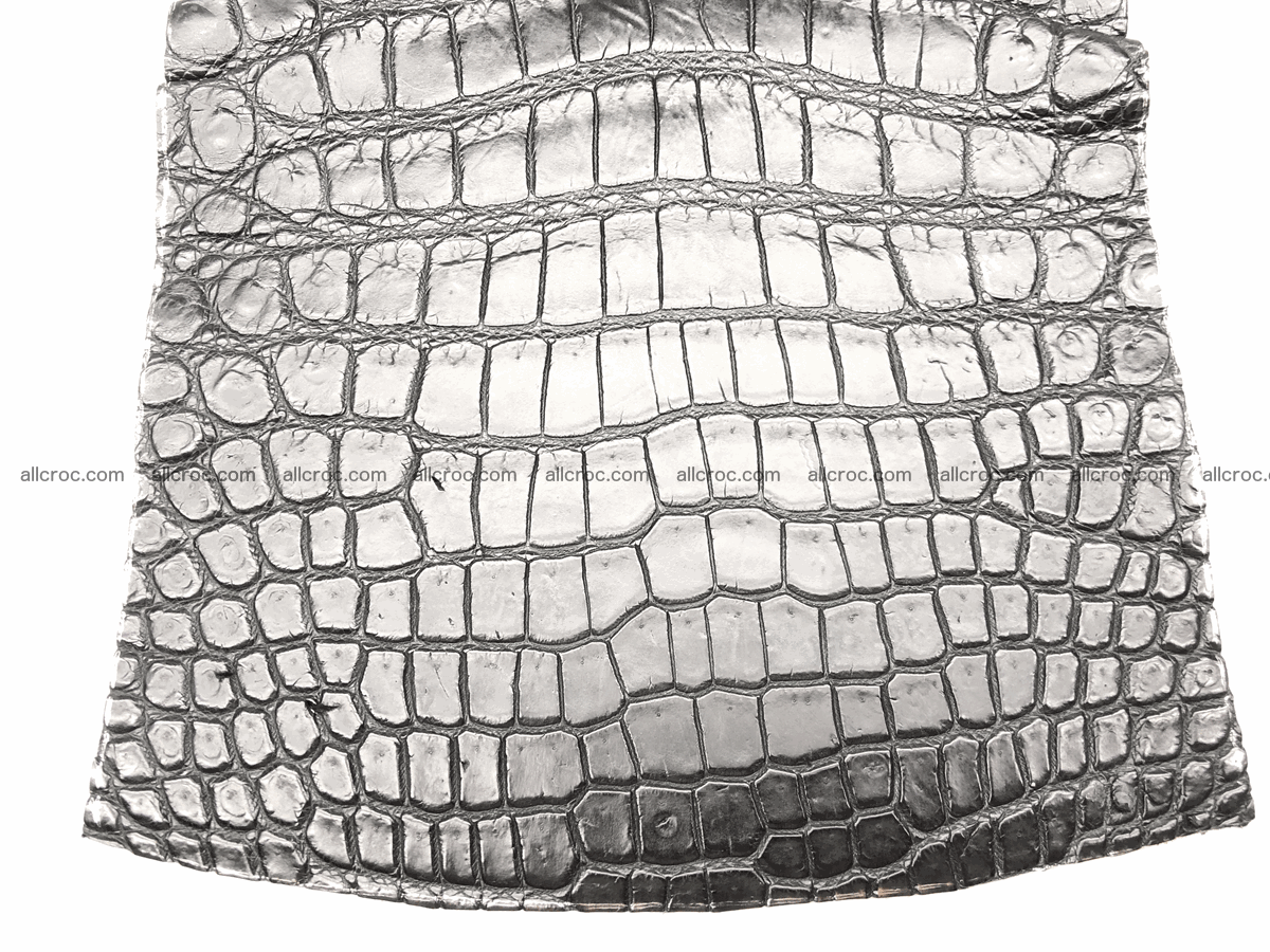 Crocodile skin belly 20cm x 24cm 562 Foto 1