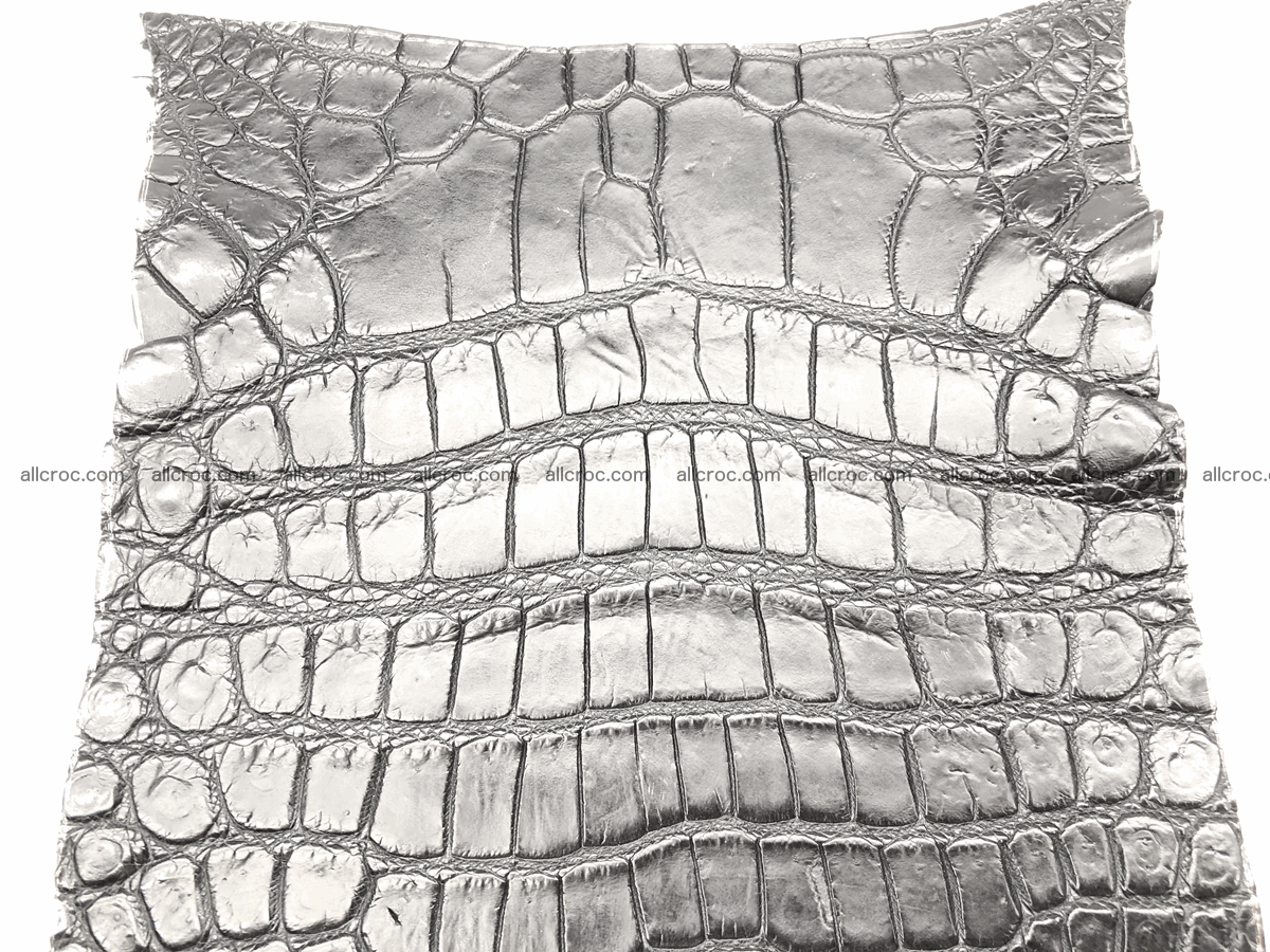 Crocodile skin belly 20cm x 24cm 562 Foto 2