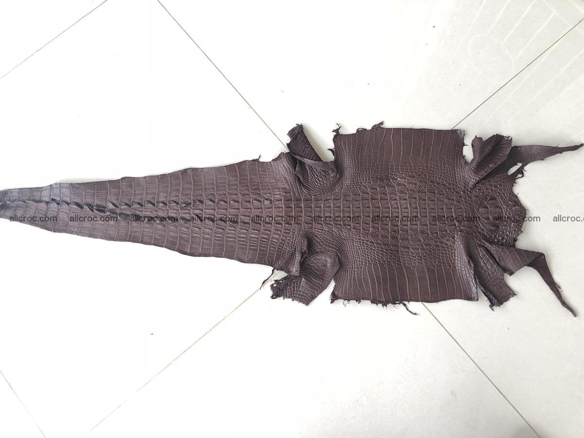 Genuine Siamese crocodile skin, hide hornback part 422 Foto 11