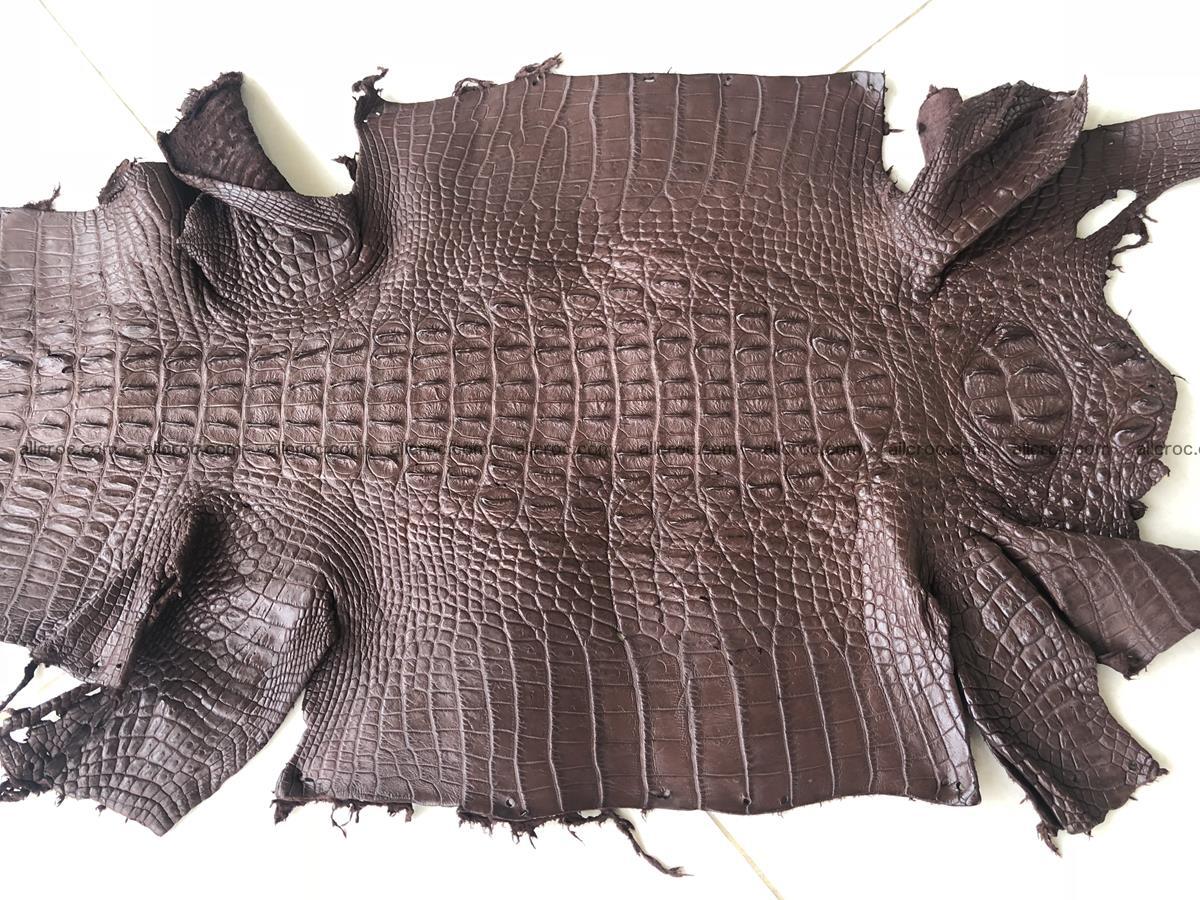 Genuine Siamese crocodile skin, hide hornback part 422 Foto 3