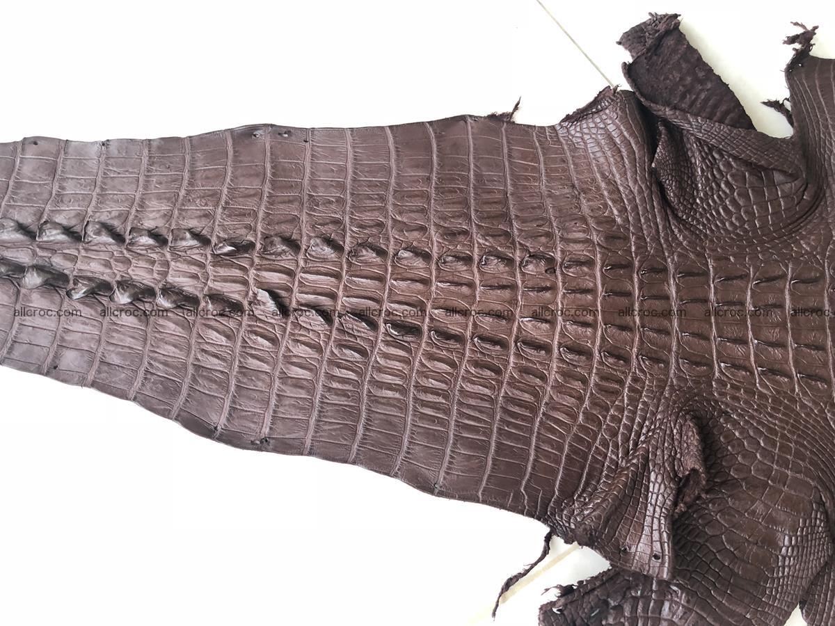 Genuine Siamese crocodile skin, hide hornback part 422 Foto 4