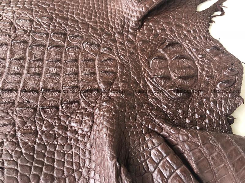 Genuine Siamese crocodile skin, hide hornback part 422