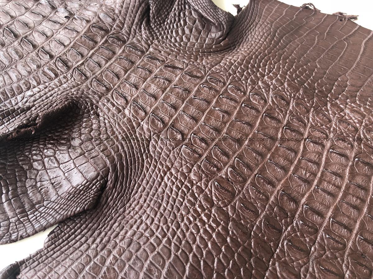 Genuine Siamese crocodile skin, hide hornback part 422 Foto 6