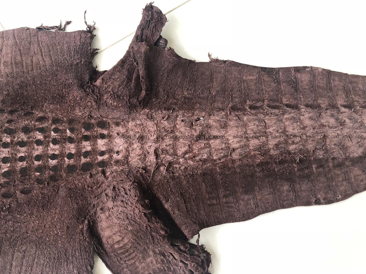 Genuine Siamese crocodile skin, hide hornback part 422 Foto 13