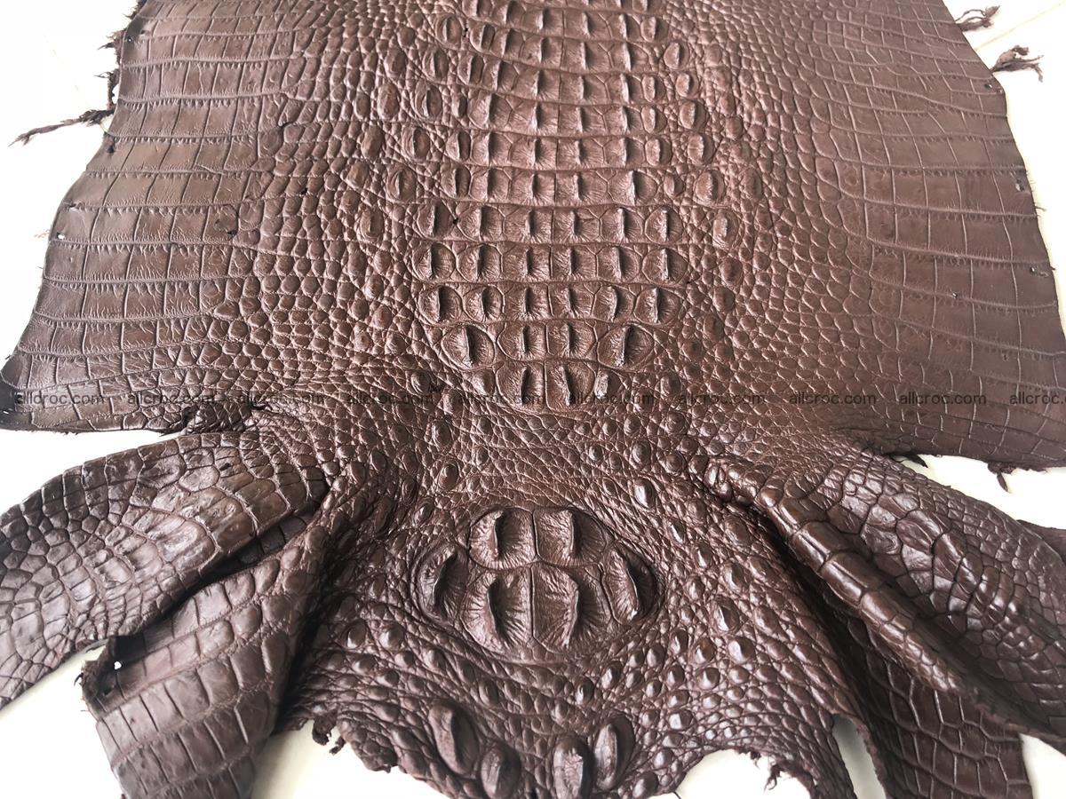 Genuine Siamese crocodile skin, hide hornback part 422 Foto 0