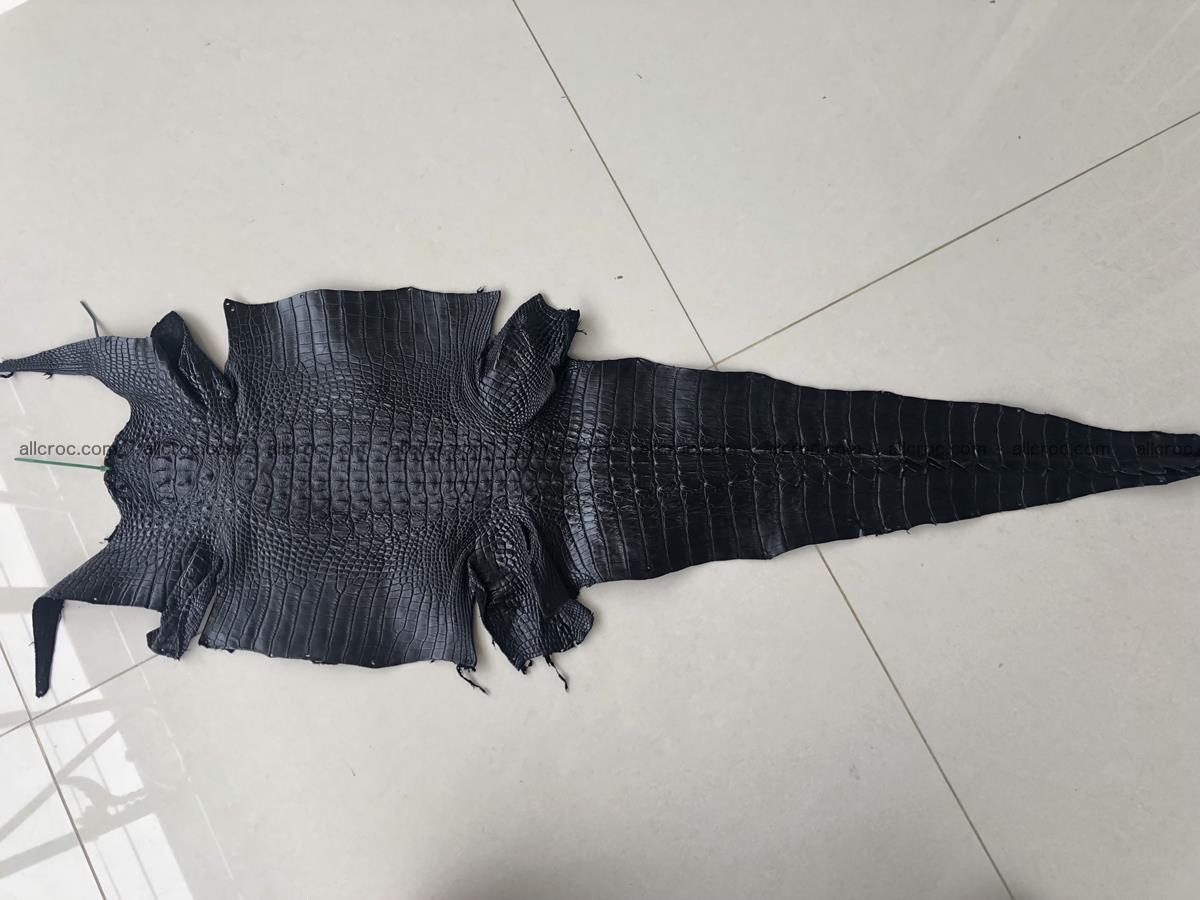 Genuine Siamese crocodile skin, hide hornback part 421 Foto 6