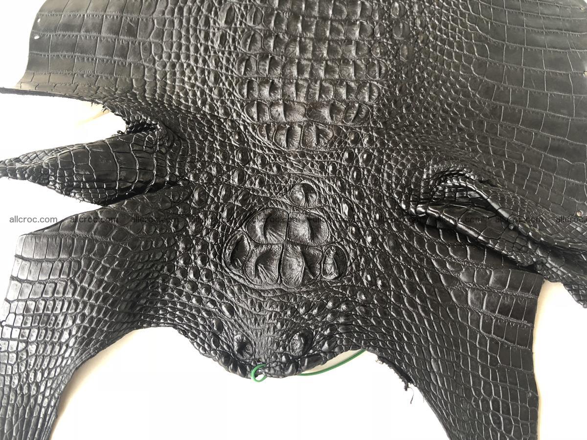 Genuine Siamese crocodile skin, hide hornback part 421 Foto 0