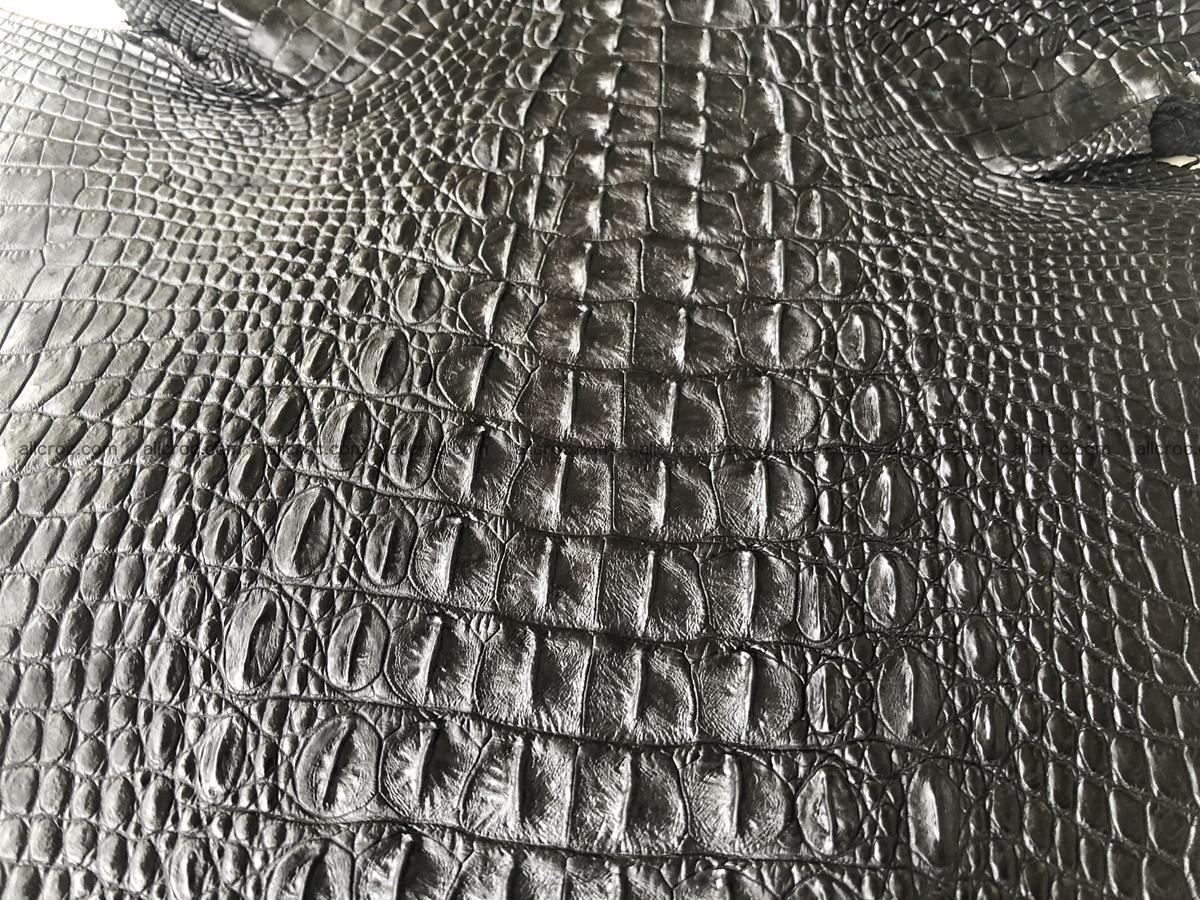 Genuine Siamese crocodile skin, hide hornback part 421 Foto 2
