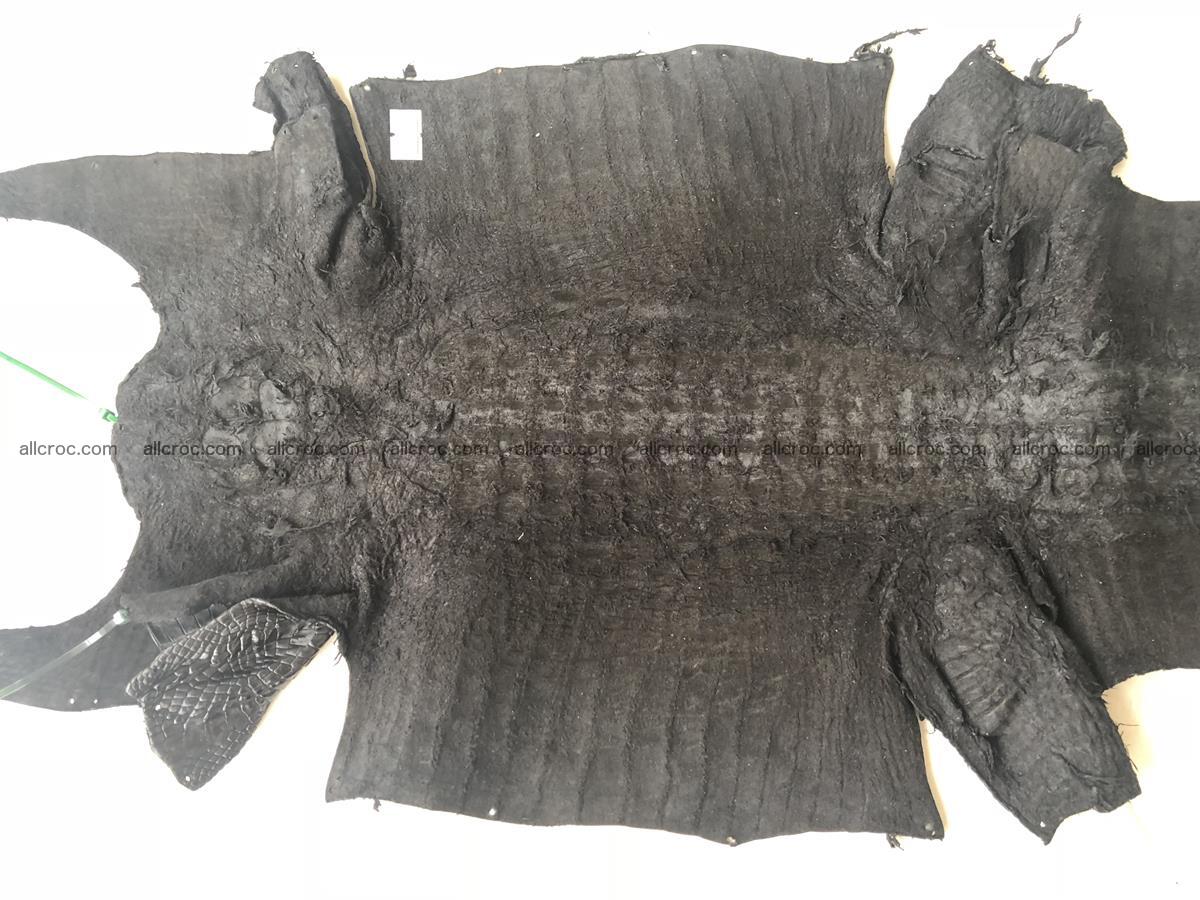 Genuine Siamese crocodile skin, hide hornback part 421 Foto 7