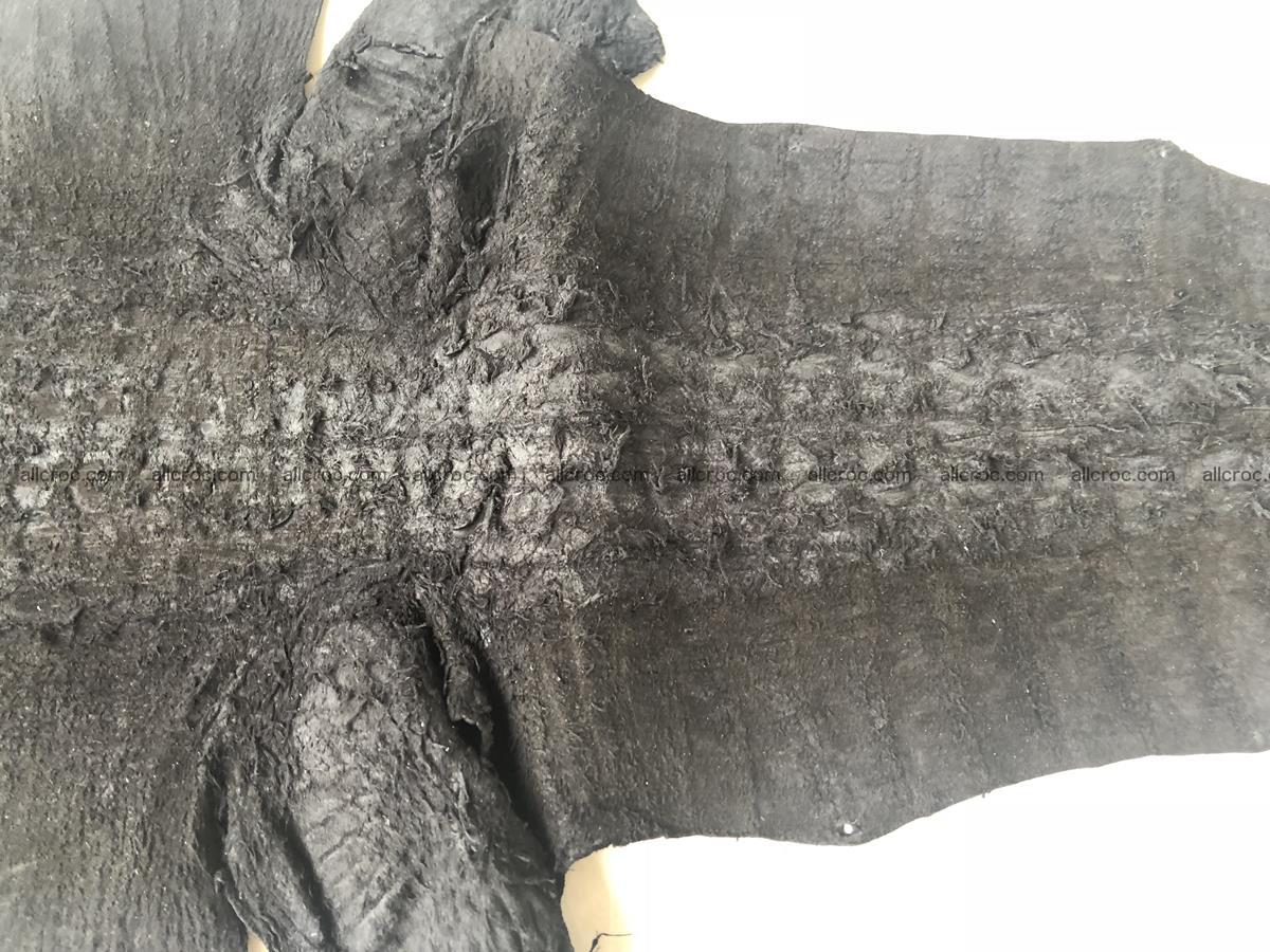 Genuine Siamese crocodile skin, hide hornback part 421 Foto 8