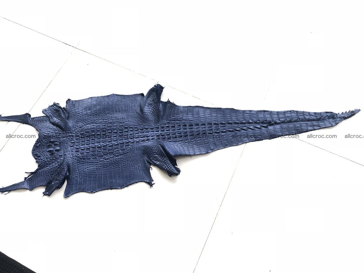 Genuine Siamese crocodile skin, hide hornback part 420 Foto 8