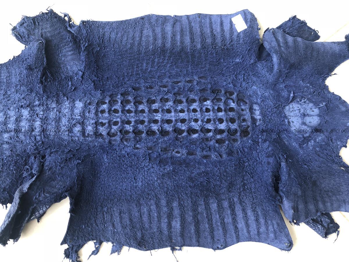 Genuine Siamese crocodile skin, hide hornback part 420 Foto 10
