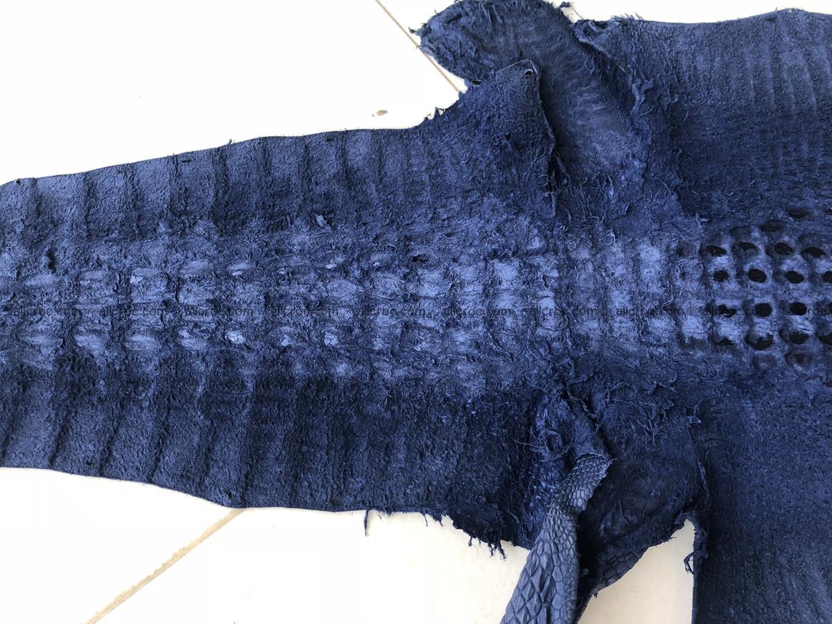 Genuine Siamese crocodile skin, hide hornback part 420 Foto 9