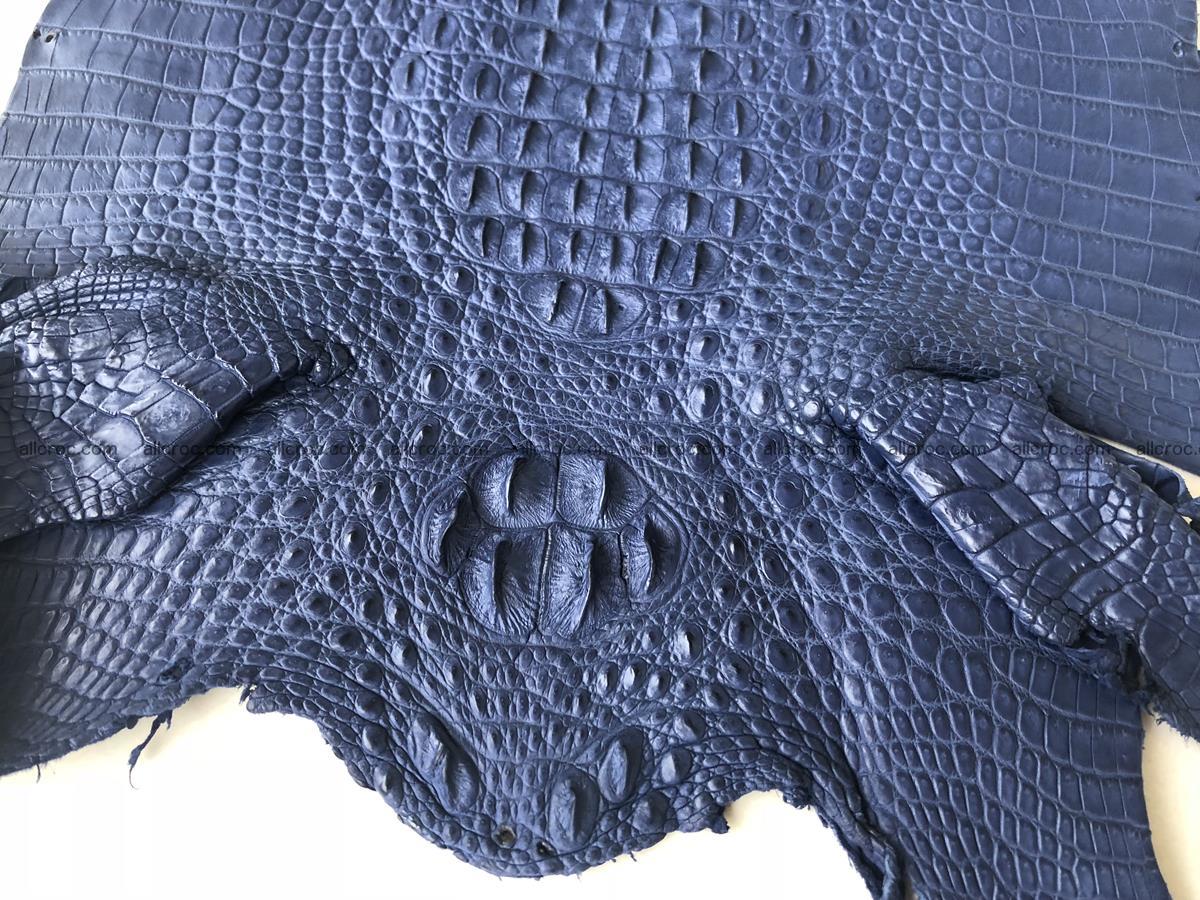 Genuine Siamese crocodile skin, hide hornback part 420 Foto 1