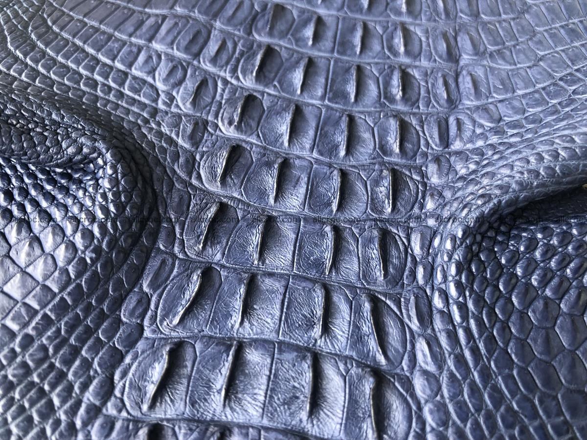 Genuine Siamese crocodile skin, hide hornback part 420 Foto 6