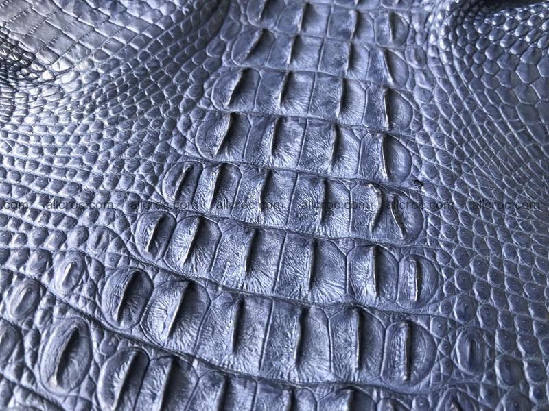 Genuine Siamese crocodile skin, hide hornback part 420